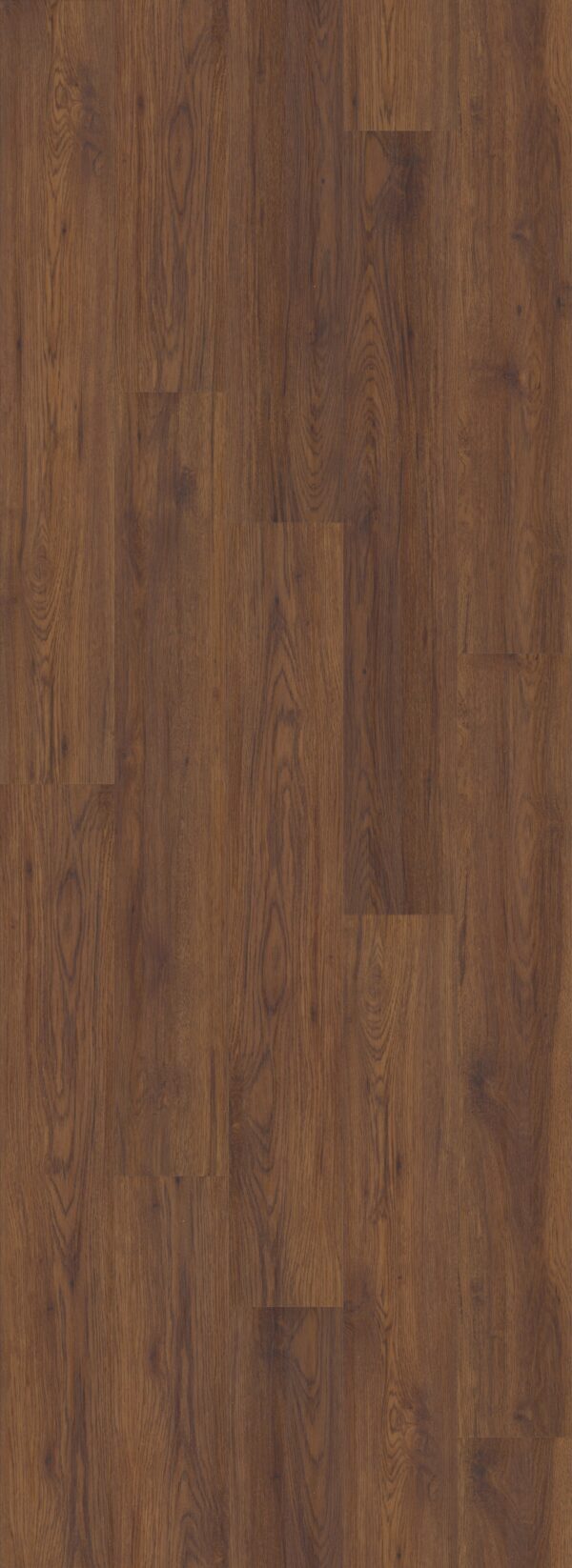 COREtec Originals Classics Fidalgo Oak